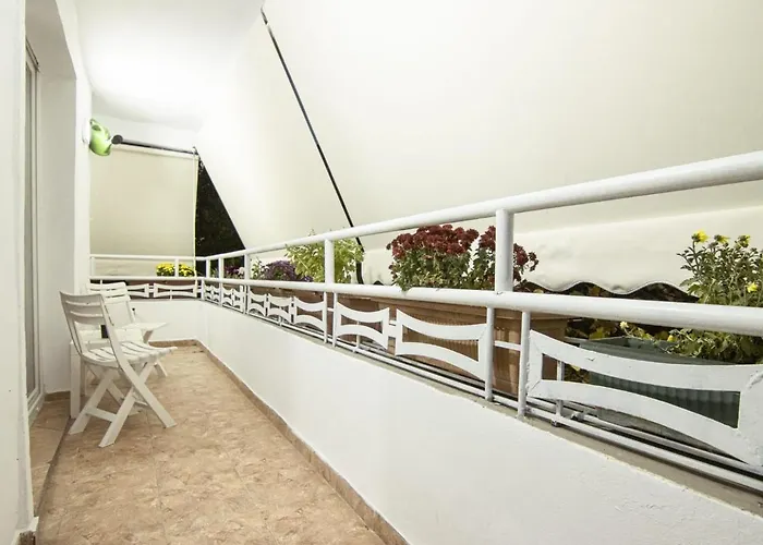 Dea's Center * Tiran